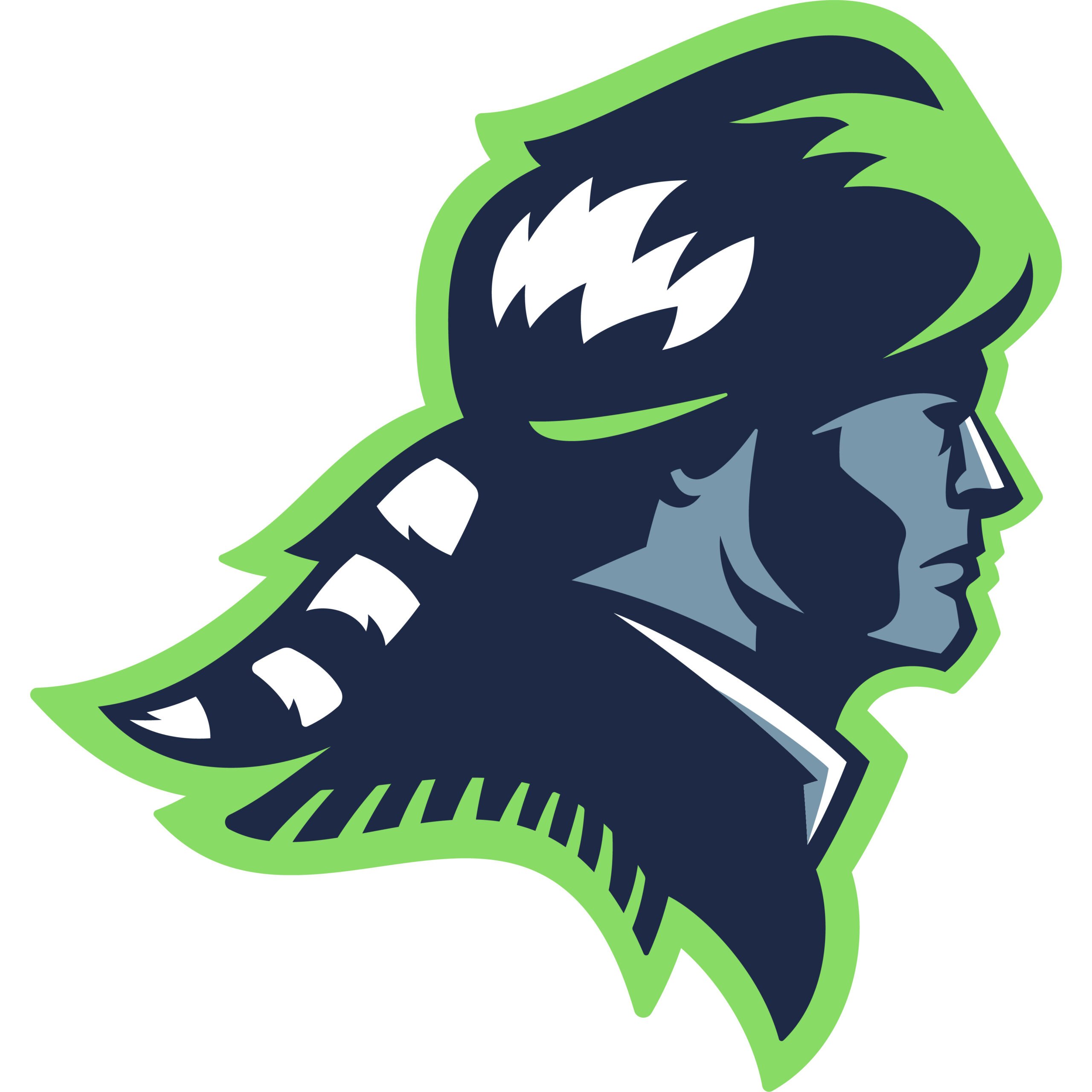Pioneer Sports Logo