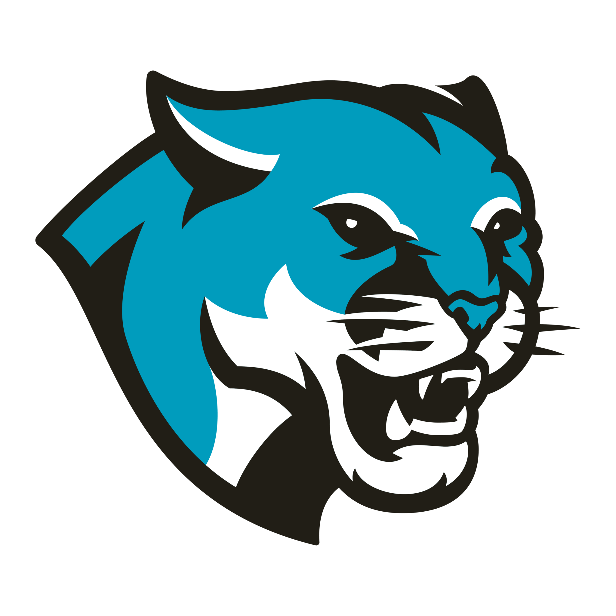 Cougar Sports Logo