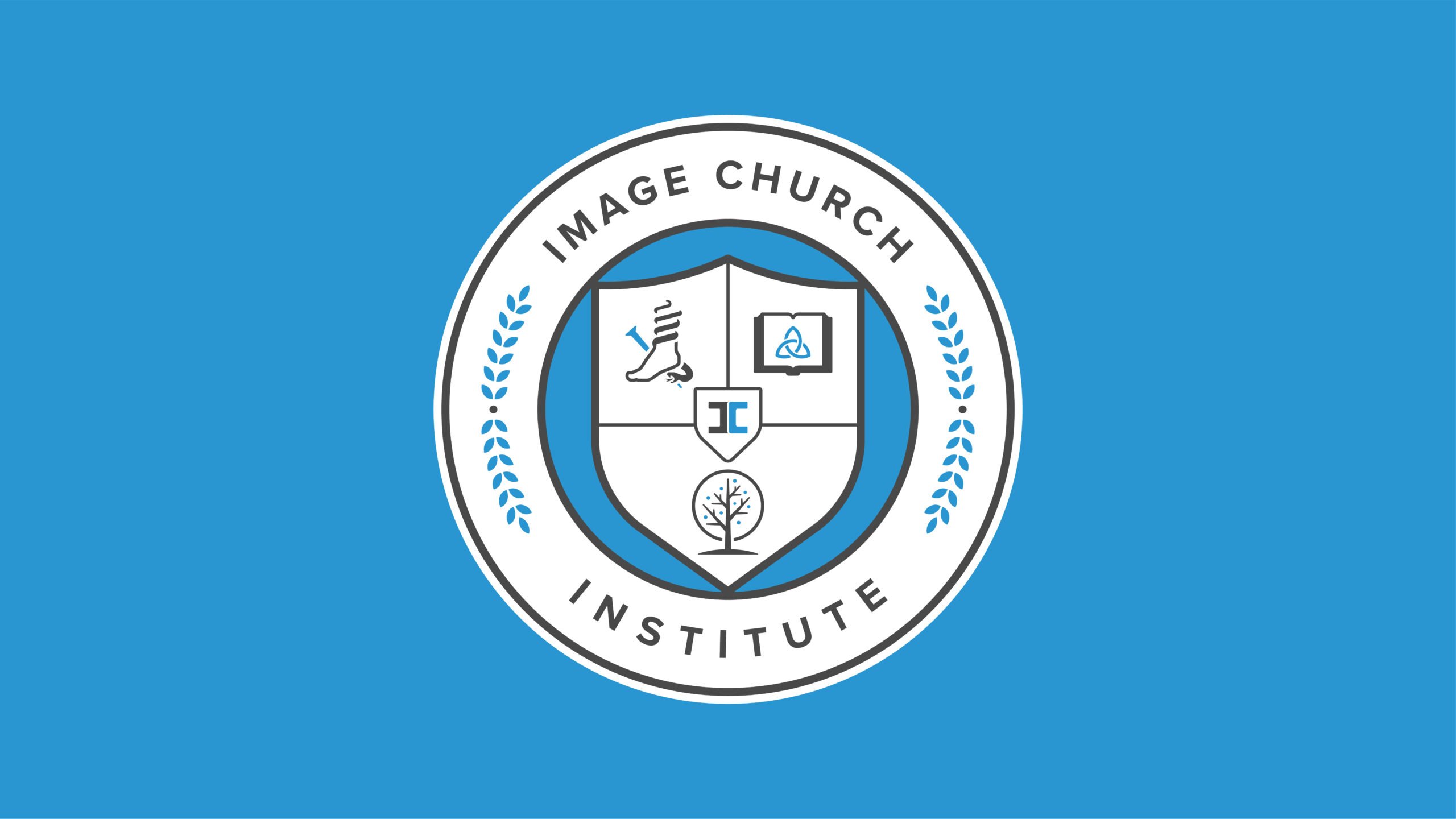 Image Institute Logo