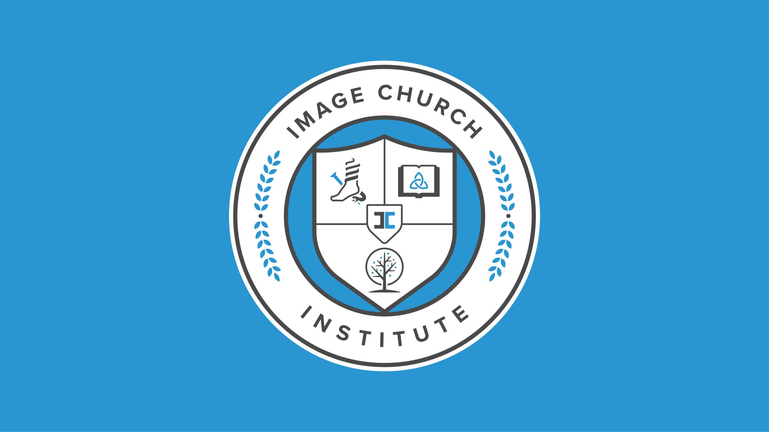 http://Image%20Institute