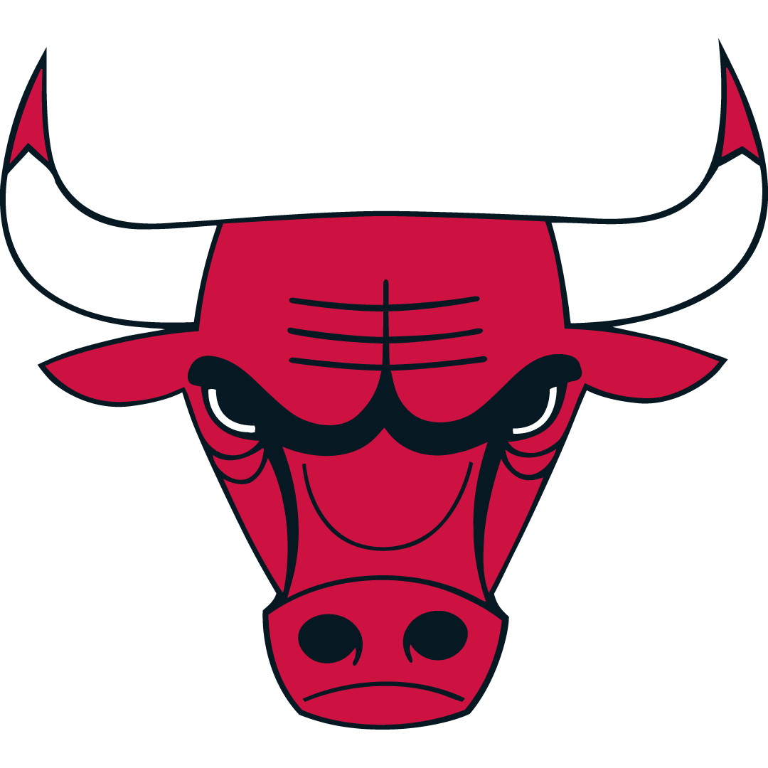 Chicago Bulls Primary Logo