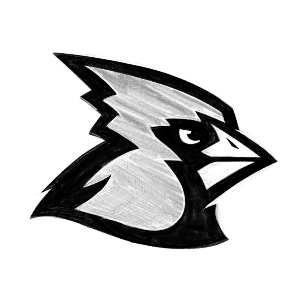 Refined Sports Logo Design Cardinal Sketch