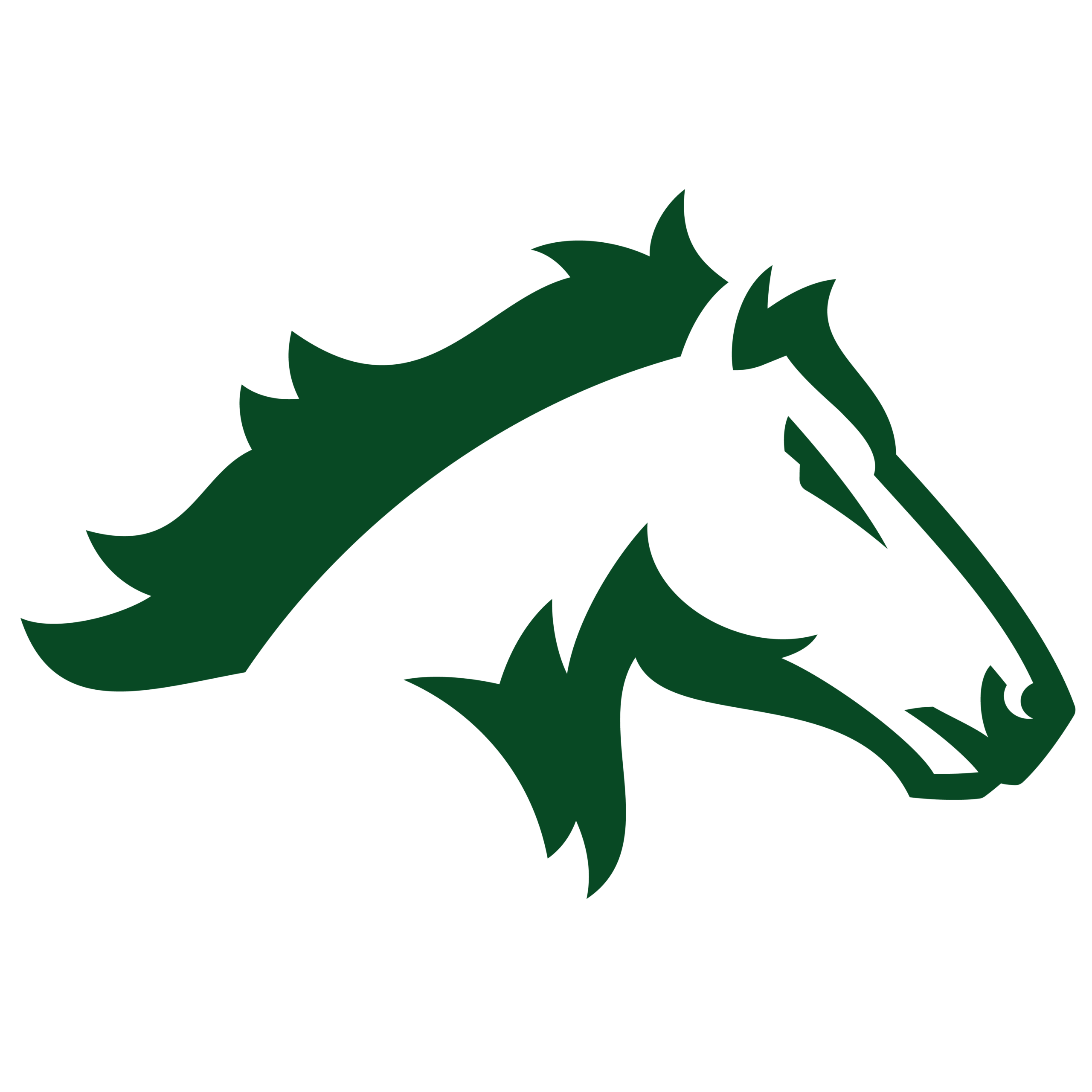 Mustang Sports Logo