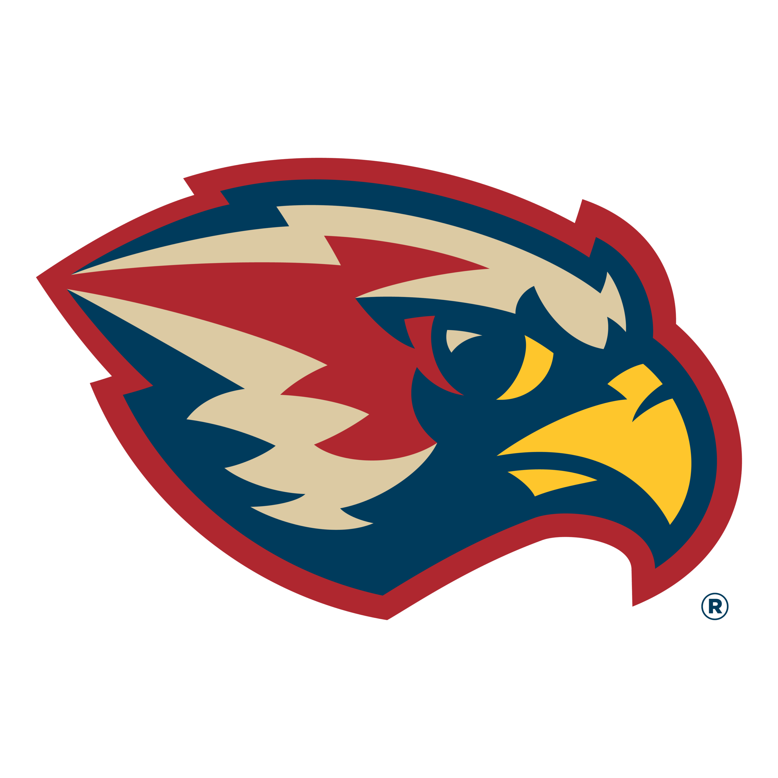 Falcon Sports Logo